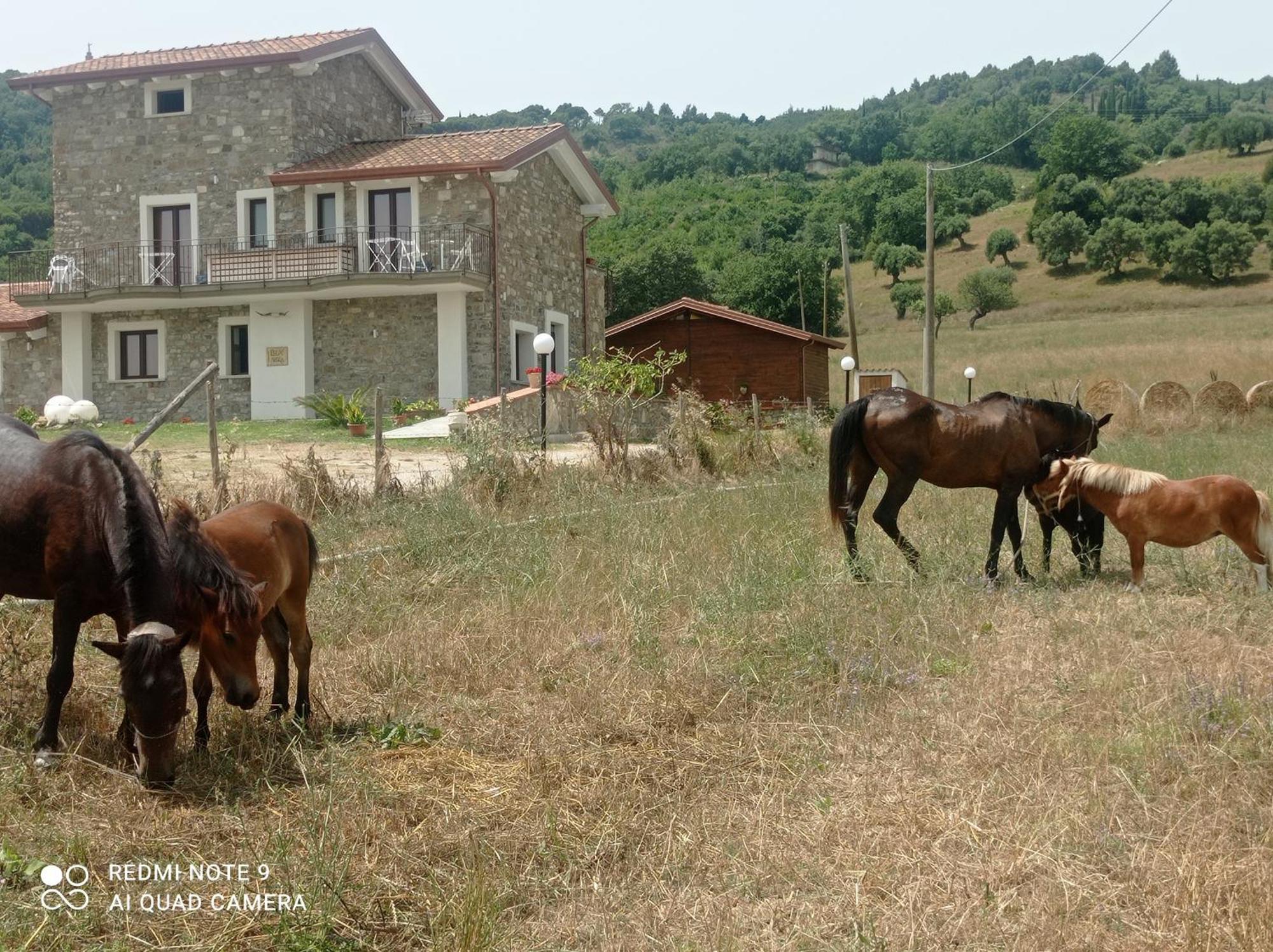 Lux Vera B & B Agropoli Exterior photo